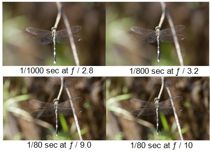 Depth of Field in photography