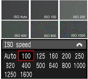 ISO Settings in Photography Explained