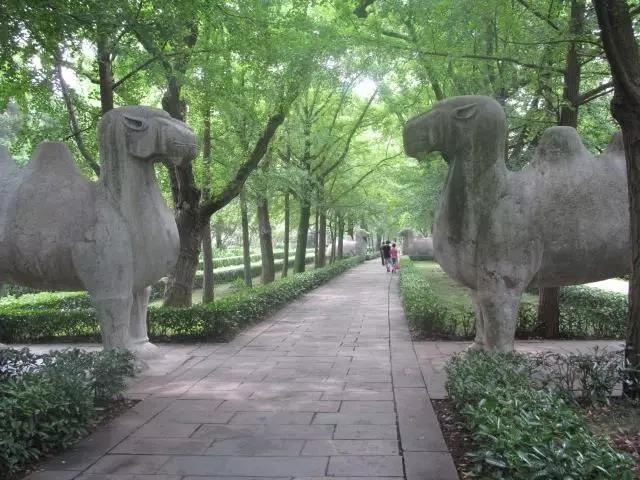 微信图片_20170619175154