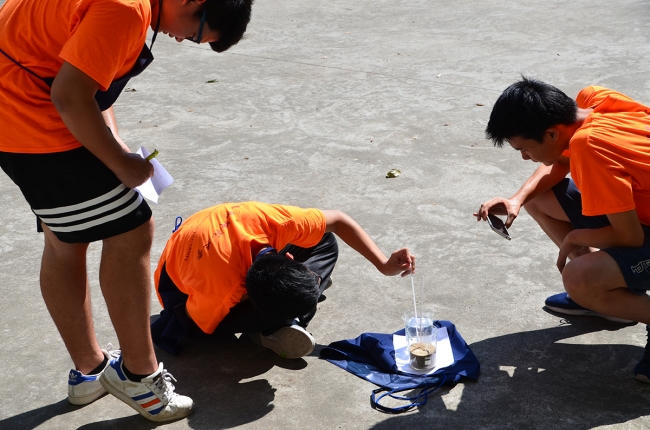 营员们在户外采样 营员们在户外采样