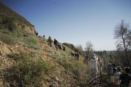 图2 8.5攀登(1).jpg