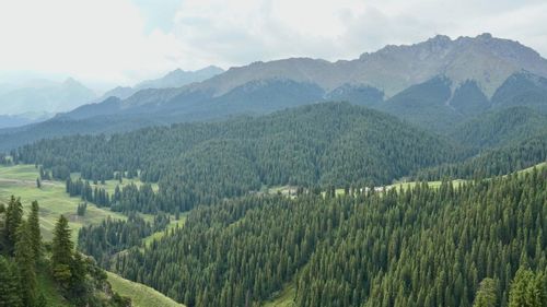 图21 山地垂直地带景观.jpg