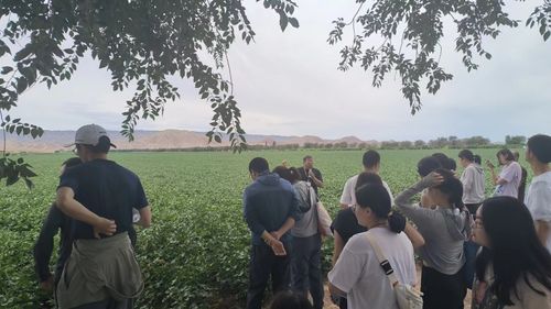 图9 参观农一连棉花基地.jpg