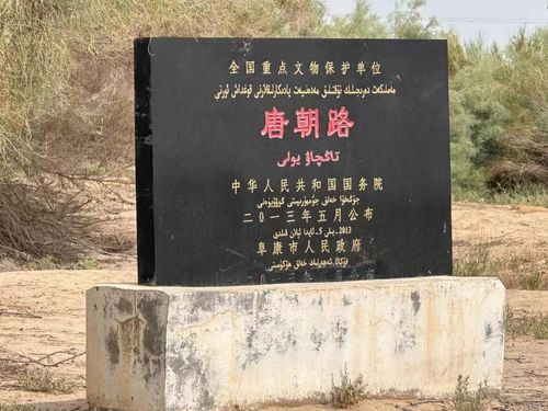 图7 “北丝绸之路”唐朝古道遗址.jpg