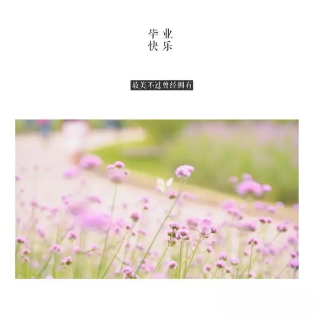 微信图片_20170620193954