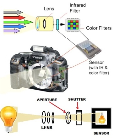 How A Digital Camera Works Studiopsis